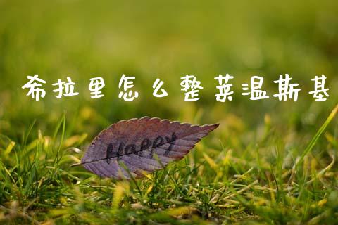 希拉里怎么整莱温斯基_https://m.ycdhulan.com_理财产品_第1张