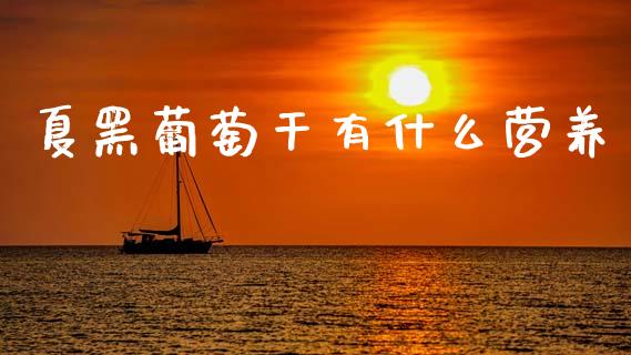 夏黑葡萄干有什么营养_https://m.ycdhulan.com_财经要闻_第1张