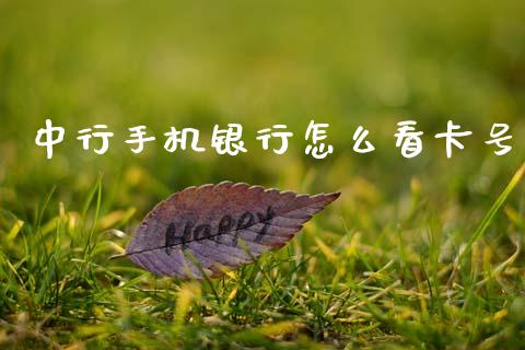 中行手机银行怎么看卡号_https://m.ycdhulan.com_证券新闻_第1张