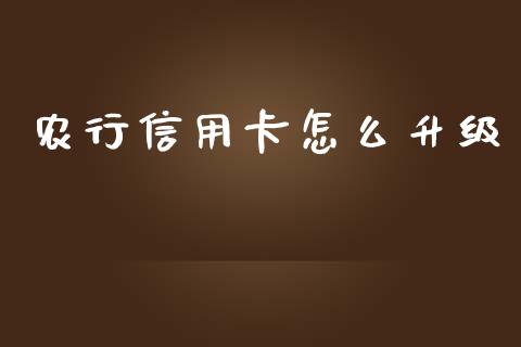 农行信用卡怎么升级_https://m.ycdhulan.com_股市在线_第1张