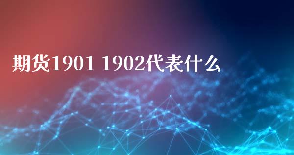 期货1901 1902代表什么_https://m.ycdhulan.com_国际金融_第1张