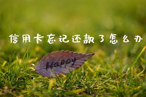 信用卡忘记还款了怎么办_https://m.ycdhulan.com_证券新闻_第1张