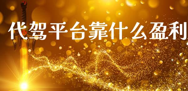 代驾平台靠什么盈利_https://m.ycdhulan.com_股市在线_第1张