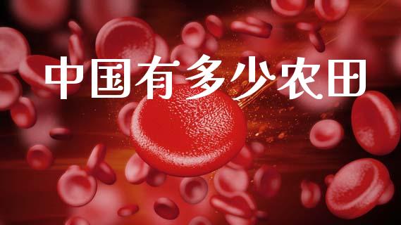 中国有多少农田_https://m.ycdhulan.com_股市在线_第1张