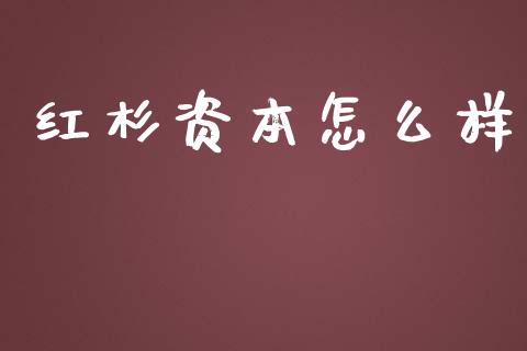 红杉资本怎么样_https://m.ycdhulan.com_理财产品_第1张