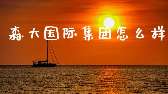 森大国际集团怎么样_https://m.ycdhulan.com_理财产品_第1张