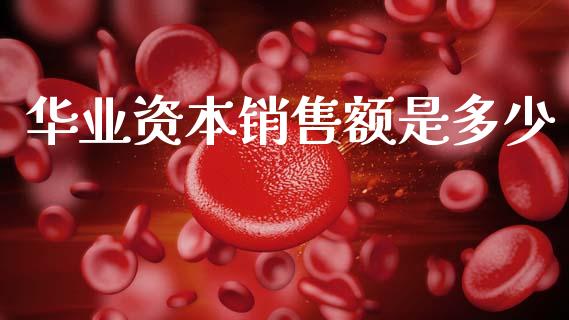 华业资本销售额是多少_https://m.ycdhulan.com_股市在线_第1张
