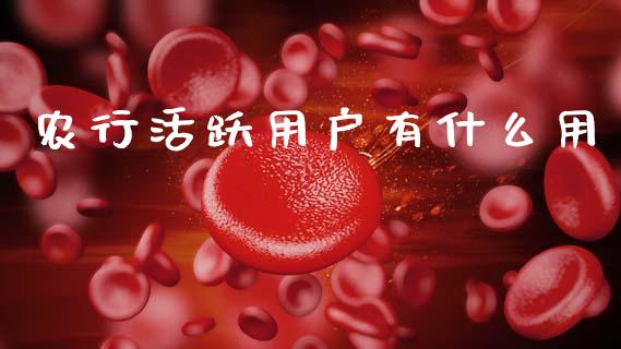 农行活跃用户有什么用_https://m.ycdhulan.com_股市在线_第1张