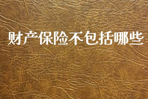 财产保险不包括哪些_https://m.ycdhulan.com_国际金融_第1张