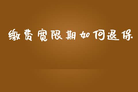缴费宽限期如何退保_https://m.ycdhulan.com_国际金融_第1张
