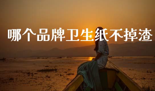 哪个品牌卫生纸不掉渣_https://m.ycdhulan.com_财经要闻_第1张