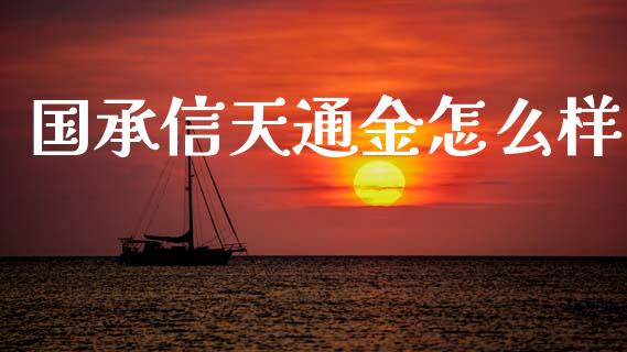 国承信天通金怎么样_https://m.ycdhulan.com_股市在线_第1张