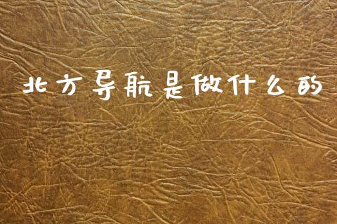 北方导航是做什么的_https://m.ycdhulan.com_股市在线_第1张