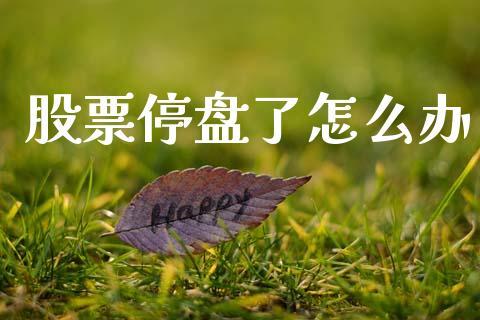 股票停盘了怎么办_https://m.ycdhulan.com_期货交易_第1张