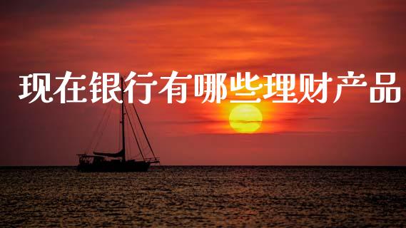 现在银行有哪些理财产品_https://m.ycdhulan.com_国际金融_第1张