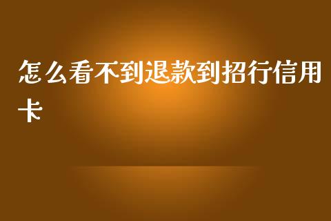 怎么看不到退款到招行信用卡_https://m.ycdhulan.com_财经要闻_第1张