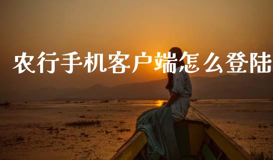 农行手机客户端怎么登陆_https://m.ycdhulan.com_理财产品_第1张
