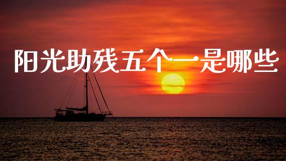 阳光助残五个一是哪些_https://m.ycdhulan.com_理财产品_第1张