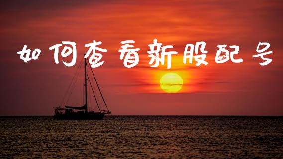 如何查看新股配号_https://m.ycdhulan.com_国际金融_第1张