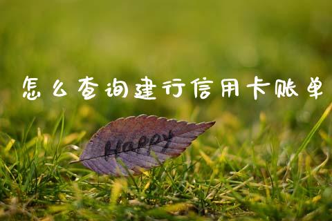 怎么查询建行信用卡账单_https://m.ycdhulan.com_财经要闻_第1张