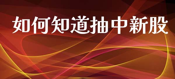 如何知道抽中新股_https://m.ycdhulan.com_财经要闻_第1张