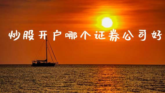 炒股开户哪个证券公司好_https://m.ycdhulan.com_证券新闻_第1张