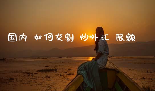国内 如何交割 炒外汇 限额_https://m.ycdhulan.com_财经要闻_第1张