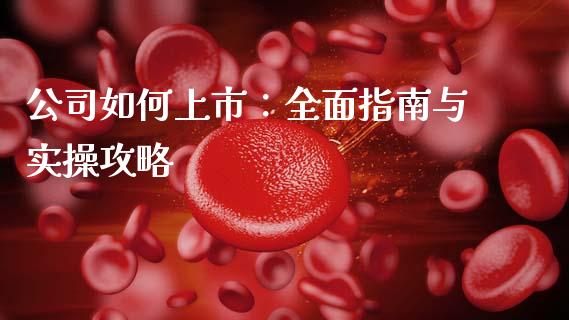 公司如何上市：全面指南与实操攻略_https://m.ycdhulan.com_股市在线_第1张
