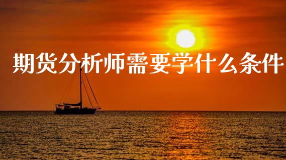 期货分析师需要学什么条件_https://m.ycdhulan.com_国际金融_第1张