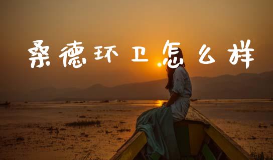 桑德环卫怎么样_https://m.ycdhulan.com_财经要闻_第1张