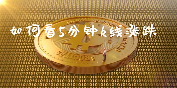如何看5分钟k线涨跌_https://m.ycdhulan.com_股市在线_第1张