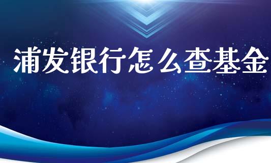 浦发银行怎么查基金_https://m.ycdhulan.com_财经要闻_第1张