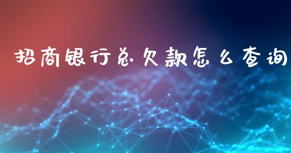 招商银行总欠款怎么查询_https://m.ycdhulan.com_财经要闻_第1张