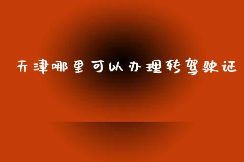 天津哪里可以办理转驾驶证_https://m.ycdhulan.com_财经要闻_第1张