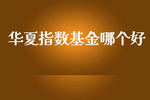 华夏指数基金哪个好_https://m.ycdhulan.com_财经要闻_第1张