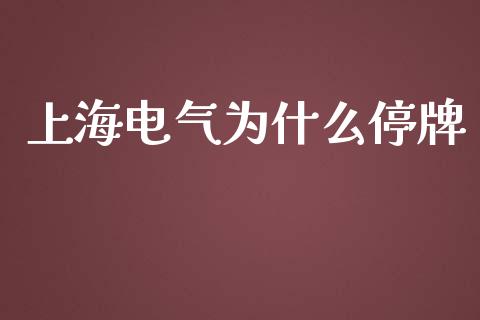 上海电气为什么停牌_https://m.ycdhulan.com_财经要闻_第1张