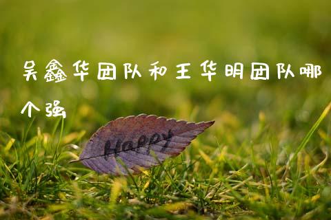 吴鑫华团队和王华明团队哪个强_https://m.ycdhulan.com_股市在线_第1张
