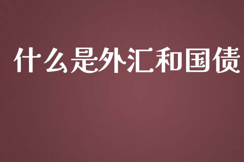 什么是外汇和国债_https://m.ycdhulan.com_股市在线_第1张