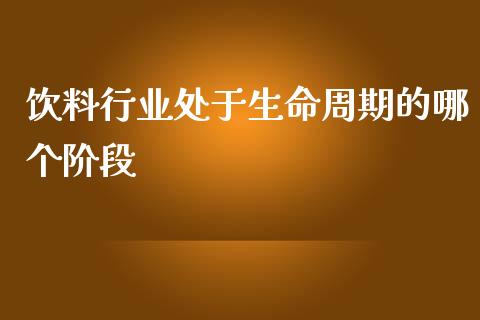 饮料行业处于生命周期的哪个阶段_https://m.ycdhulan.com_股市在线_第1张