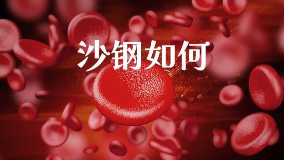 沙钢如何_https://m.ycdhulan.com_股市在线_第1张