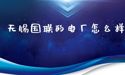 无锡国联的电厂怎么样_https://m.ycdhulan.com_财经要闻_第1张