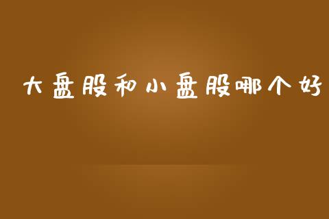 大盘股和小盘股哪个好_https://m.ycdhulan.com_理财产品_第1张