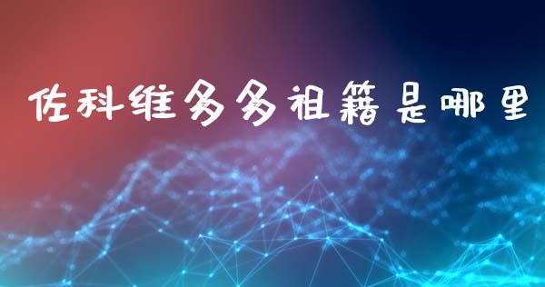 佐科维多多祖籍是哪里_https://m.ycdhulan.com_财经要闻_第1张