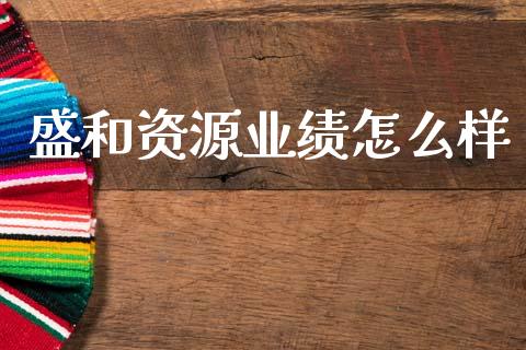盛和资源业绩怎么样_https://m.ycdhulan.com_理财产品_第1张