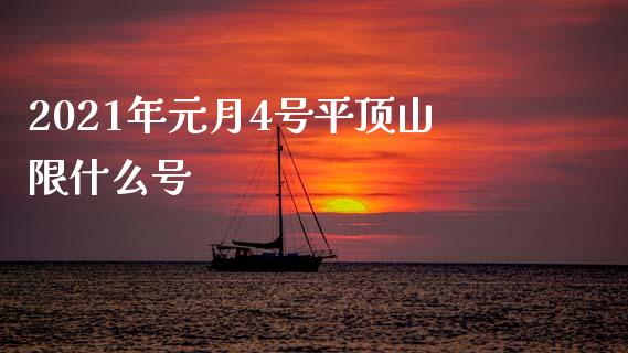 2021年元月4号平顶山限什么号_https://m.ycdhulan.com_国际金融_第1张