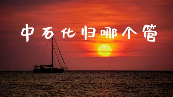 中石化归哪个管_https://m.ycdhulan.com_证券新闻_第1张