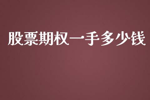 股票期权一手多少钱_https://m.ycdhulan.com_国际金融_第1张