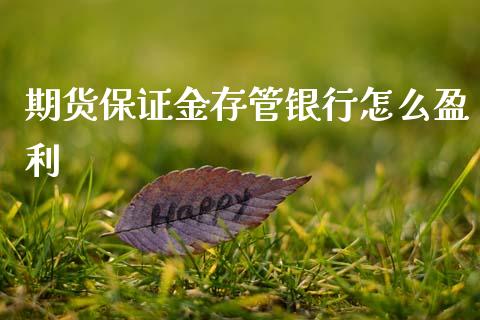 期货保证金存管银行怎么盈利_https://m.ycdhulan.com_财经要闻_第1张