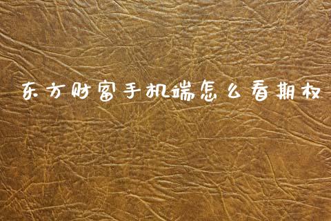 东方财富手机端怎么看期权_https://m.ycdhulan.com_财经要闻_第1张