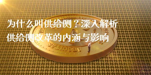 为什么叫供给侧？深入解析供给侧改革的内涵与影响_https://m.ycdhulan.com_国际金融_第1张